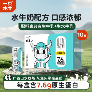 一只水牛奶纯牛奶200ml 10盒学生儿童营养早餐奶整箱广西水牛奶