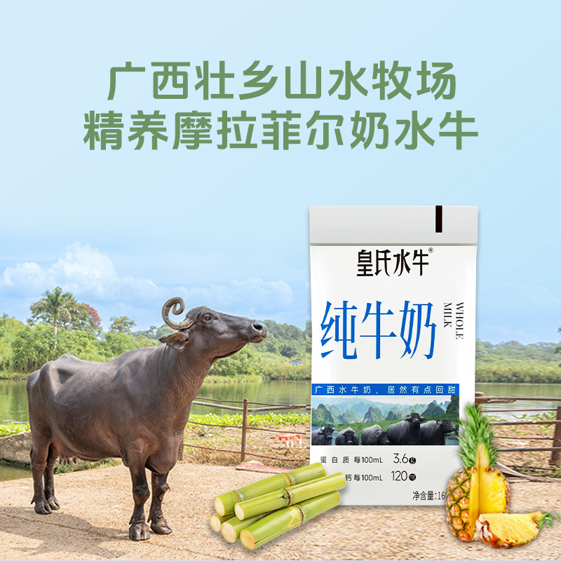皇氏水牛纯牛奶160ml*12袋水牛奶配方儿童学生早餐奶整箱纯奶