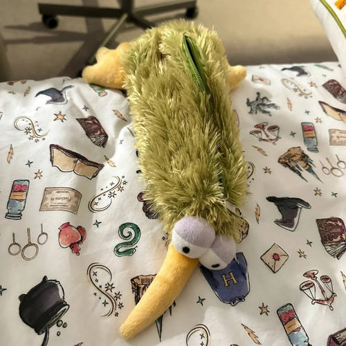 可爱奇异鸟笔袋新西兰国鸟