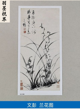 11文彭兰花图真迹国画艺术微喷古