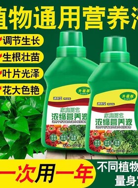 富贵竹花园盆栽营养液植物通用型生根绿叶王液缓释片水养水栽发黄