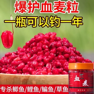 谷麦钓饵料血麦浓腥特腥鱼饵秋冬季麦子野钓万能黑坑鲫鲤草鳊窝料