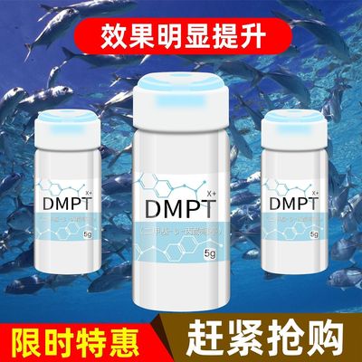 DMPT黑坑野钓四季专用鱼类添加剂