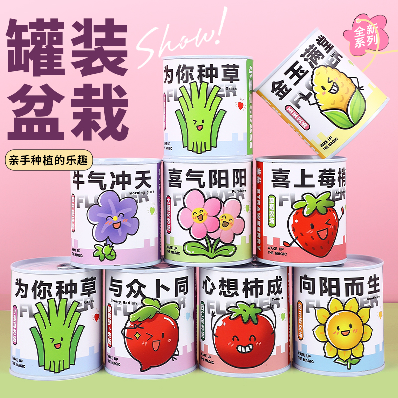 儿童植物生长草莓观察盒