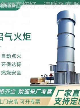 P智能LC统控制自动处点火火92114炬 养殖场沼气燃烧系沼气工程理