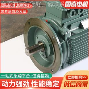 200卧式 变电频电V2VP V2VP 20L机1 300W变频调速电机纯铜机 2立式