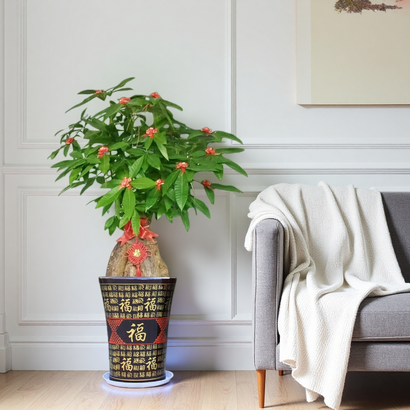 发财树乔迁送礼绿植30天养死包赔