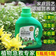 营养液植物通用型肥料蝴蝶兰富贵竹绿萝水培盆栽家用花卉养花花肥