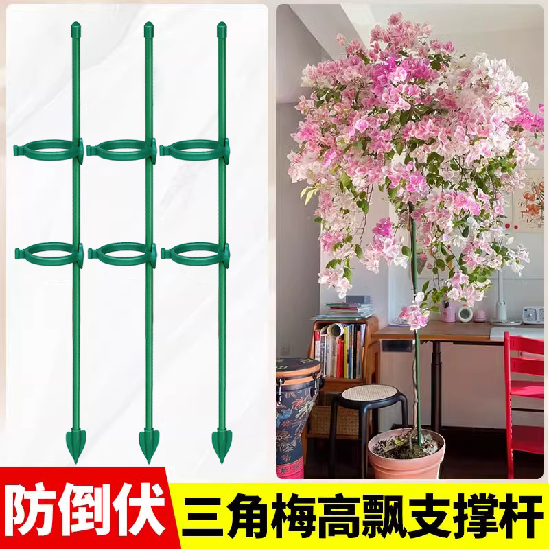 三角梅造型支架高飘支撑杆园艺月季花枝架植物龟背竹防倒伏固定器