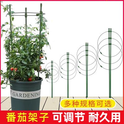 月季花架爬藤架植物支撑杆