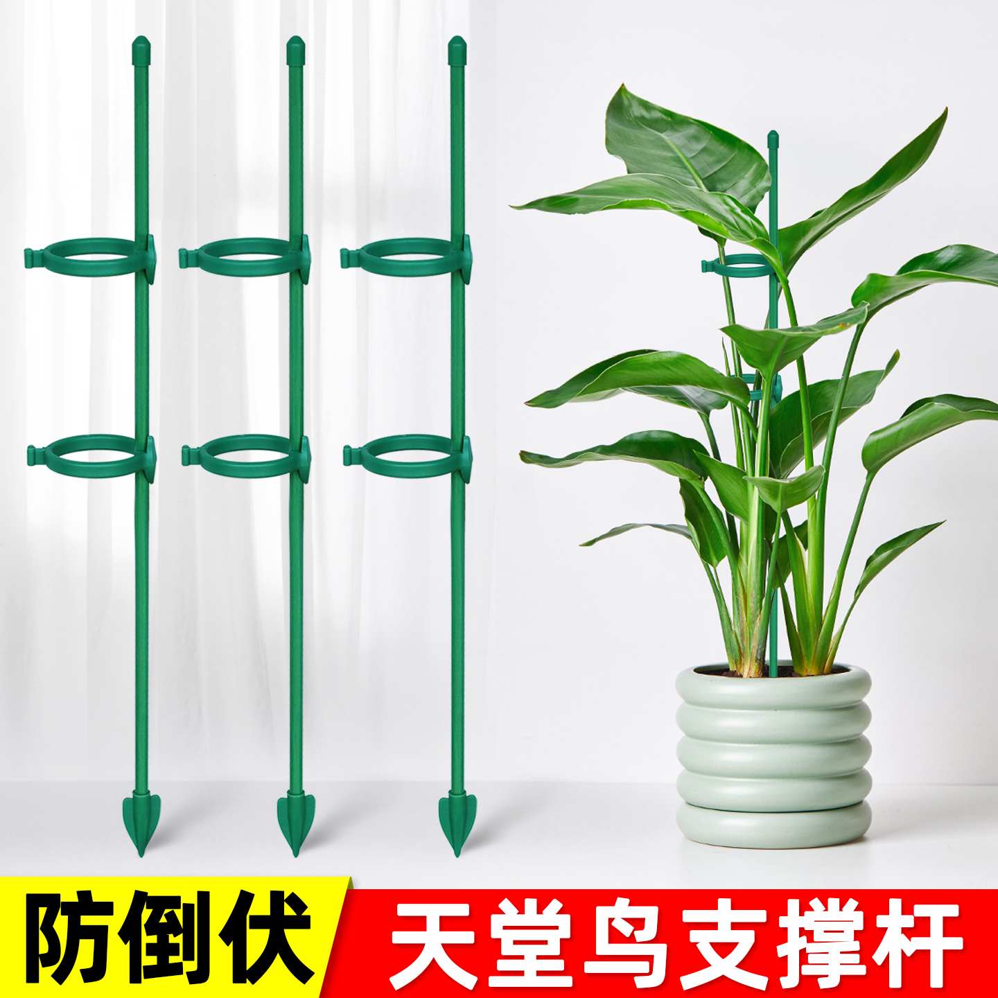 天堂鸟支撑杆园艺护花架子绿植种菜爬藤植物固定支架杆兰花支撑架