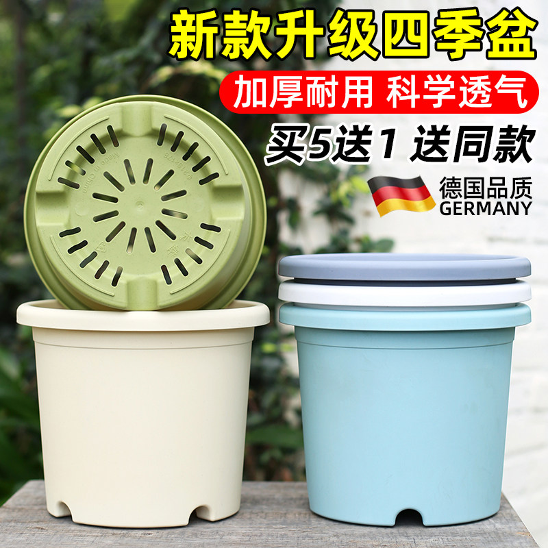 【极速发货】deepot控根四季盆图片