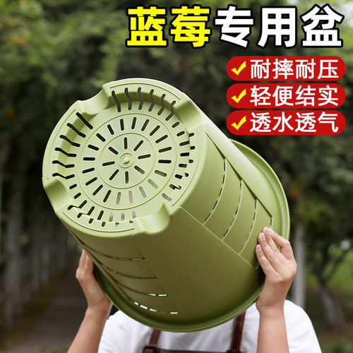 新款第三代青山盆树脂家用加仑盆透气控根盆大号蓝莓专用塑料花盆