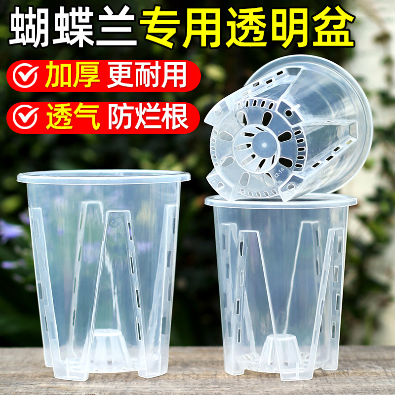 新款透明青山控根盆兰花水苔蝴蝶兰专用花盆塑料透气大号花盆家用