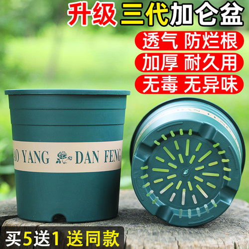 买5送1，送同款！升级加仑控根盆