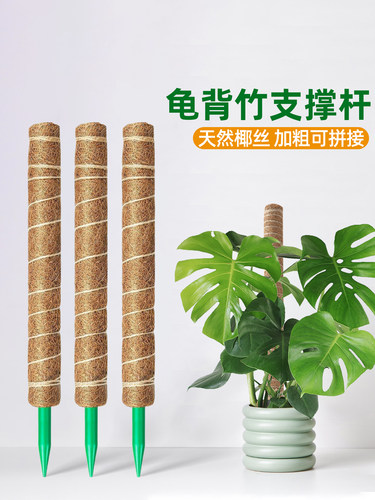 官方旗舰店正品龟背竹支撑杆养花绿萝爬藤支架固定椰丝椰棕棒花架