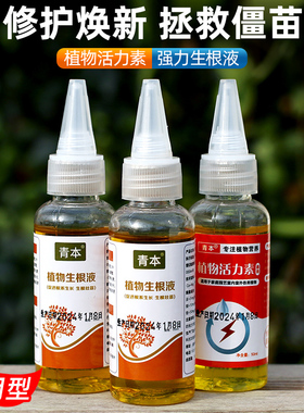 快速生根液粉剂移栽扦插生根水营养液植物通用强力多肉壮苗生根剂