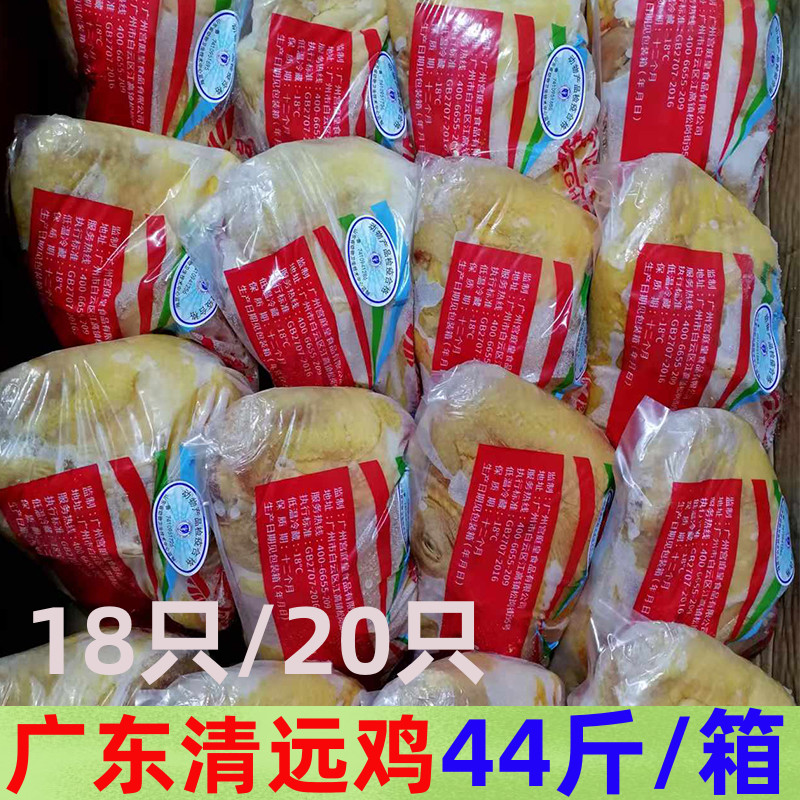 走地鸡朱林漫步鸡整箱装