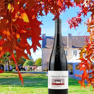 维伦钮夫 卢瓦河谷 干红葡萄酒 Chateau Villeneuve CWS 法国