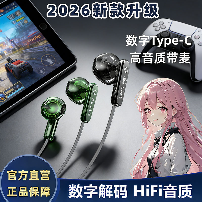 ipad2025新款有线耳机typec数字
