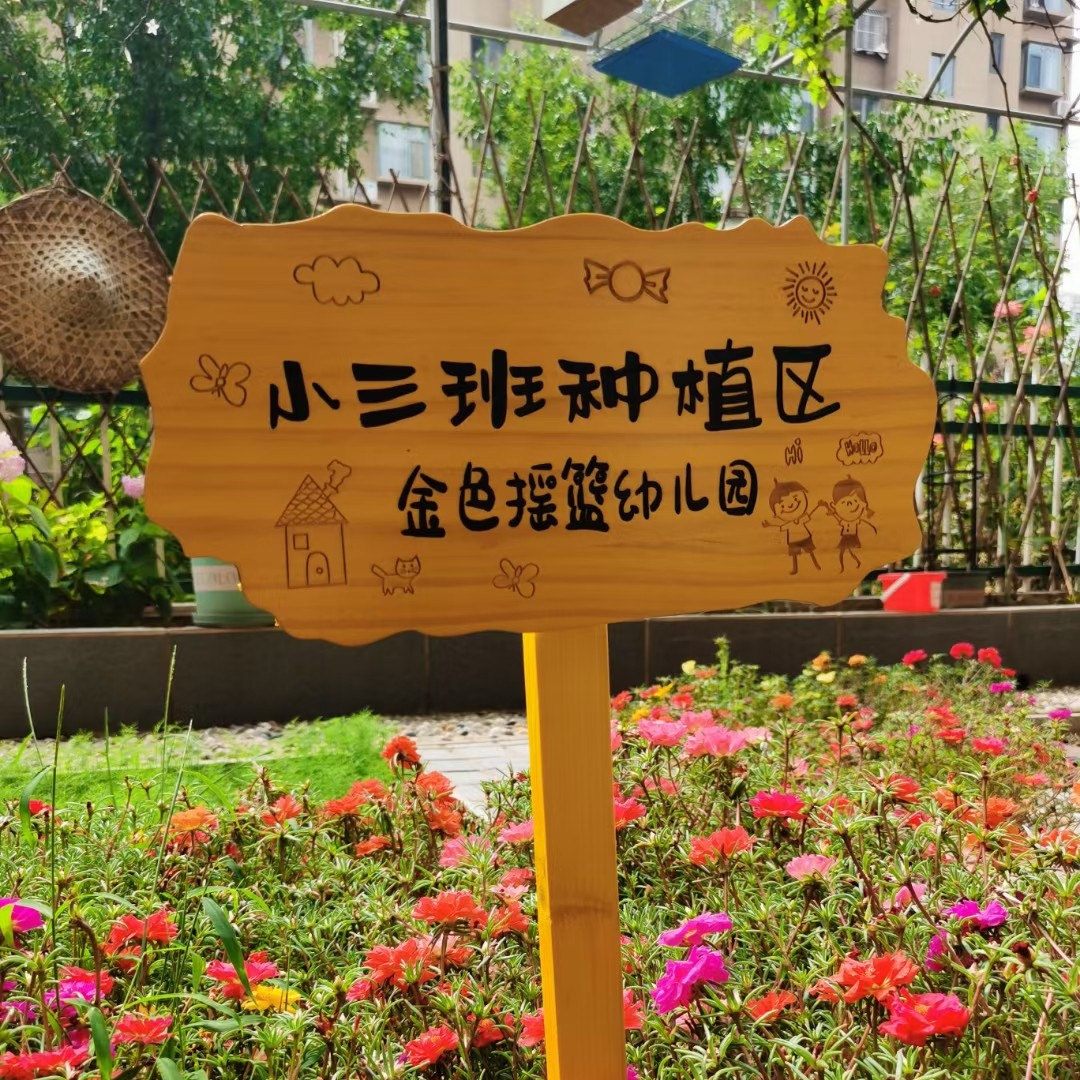 户外菜地花草幼儿园菜园种植花园插地木质提示标识牌刻字木牌定制