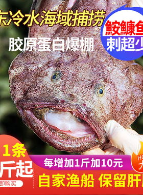 新鲜安康鱼整条大嘴鱼蛤蟆鱼鲜活冷冻鱼肝鱼肚海鲜