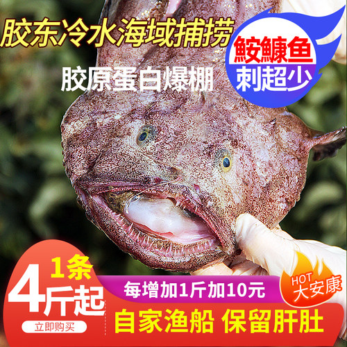 新鲜安康鱼整条无刺冷冻重量含冰