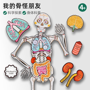 我的古骨怪朋友儿童人体身体器官骨骼结构模型拼图早教认知玩具