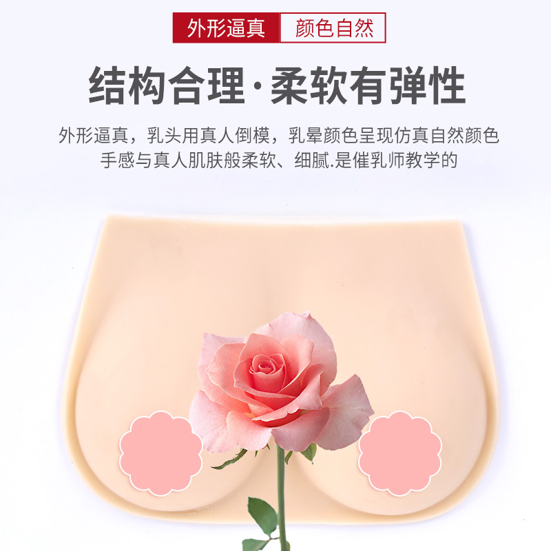 催乳师教具女性乳房n模型硅胶乳房模型催乳师培训医学用假乳房