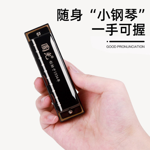 国光10孔布鲁斯口琴C调初学者