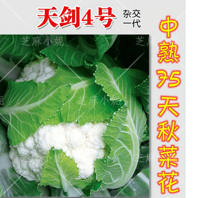 有机花椰菜奶酪脆条特价 天猫有机花椰菜奶酪脆条优惠券 淘宝有机花椰菜奶酪脆条优惠卷免费领取 白菜哦