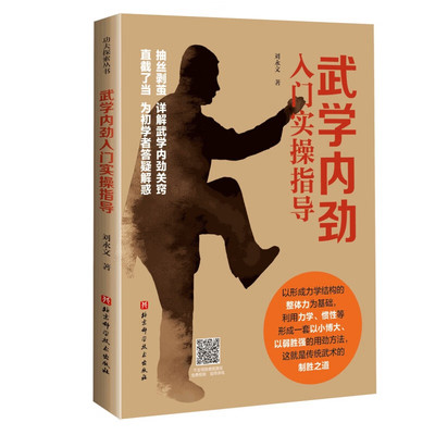 武学内劲入门实操指导 刘永文 武术内家拳初学 抽丝剥茧详解武学内劲关窍直截了当为初学者解疑答惑 以形成力学结构的整体力为基础