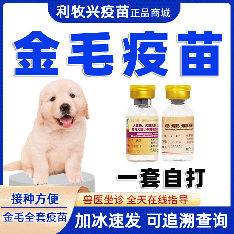金毛疫苗一套自打金毛幼犬疫苗狗疫苗中牧四联狂犬疫苗针大小狗用