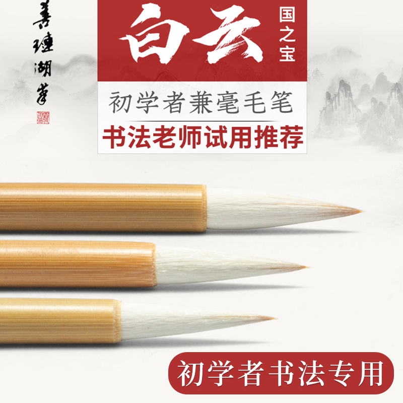 善琏湖笔加健大中小白云毛笔初学