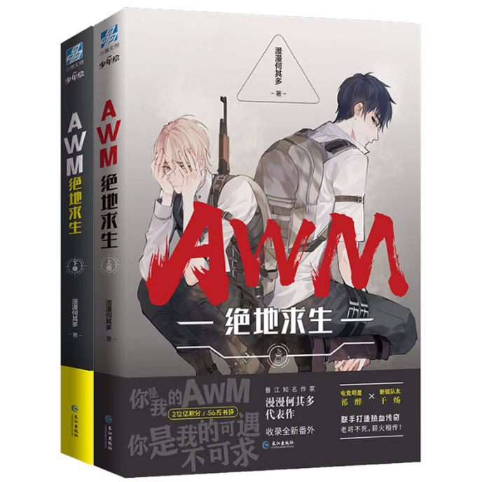 AWM绝地求生全两册正版全新