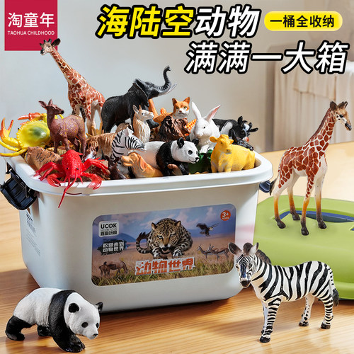 手工彩绘不变形不褪色