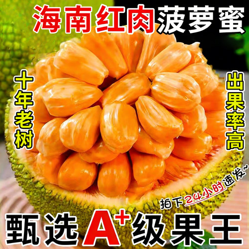 海南红肉菠萝蜜一整个老树木菠萝现摘现发孕妇新鲜水果整箱包邮