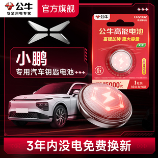 G3I M03新能源汽车钥匙电池智能遥控器cr2032纽扣电池通用 公牛汽车钥匙电池适用小鹏P5