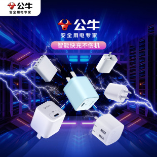 公牛苹果充电头器官方旗舰正品 14快充头适配苹果系列数据线插头快充自动断电充电器闪充typec充电头 iPhone11