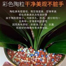 彩色陶粒多肉铺面石盆栽透气花用养花水培鱼缸颗粒陶粒土小号介质