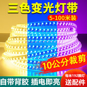 三色变光LED灯带220v自粘客厅家用悬吊式 天花板背景墙氛围软灯条