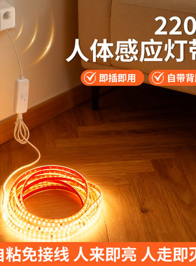 人体感应led灯条220V灯带卧室客厅电视背景墙开关插电床头氛围灯