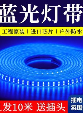 led蓝色灯带户外防水220v家用客厅吊顶电竞房ktv酒吧氛围蓝光灯条