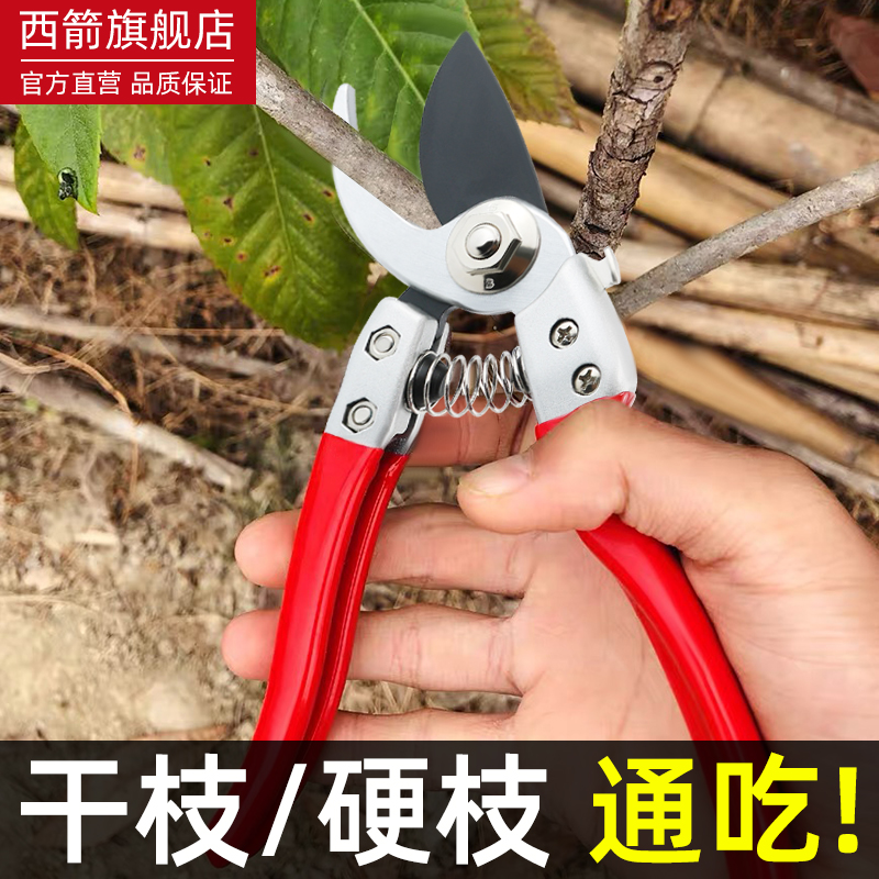 轴承设计 省力剪切