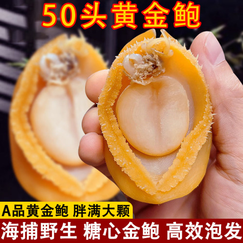 广东特大鲍鱼干佛跳墙