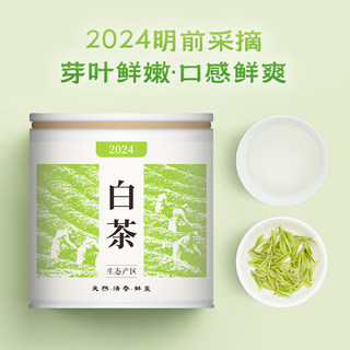 宋品2024新茶白茶安吉明前特级绿茶高山核心产区春茶品鉴装25克