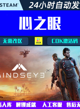 心之眼 MindsEye Steam中文电脑游戏CDK激活码国区全球区