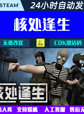 可联机 MISERY核处逢生 Steam电脑游戏CDK激活码