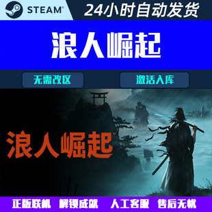 Steam电脑联机游戏CDK激活码 Bonus 全球区国区 with 浪人崛起