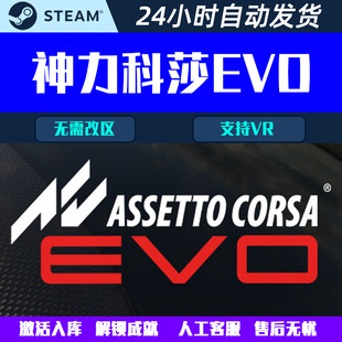 神力科莎EVO 全球区国区 Steam中文电脑游戏CDK激活码